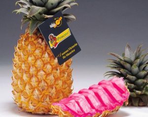 1481928553-pink-pineapple