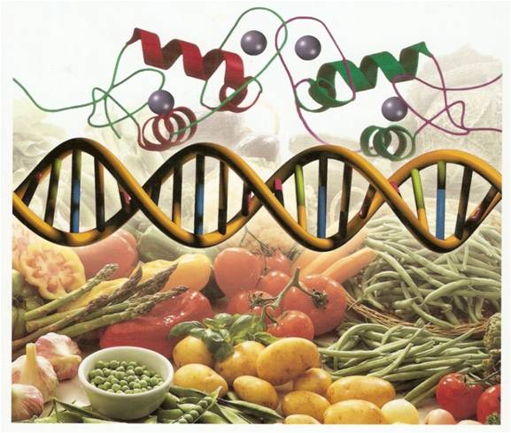 Genetic Food