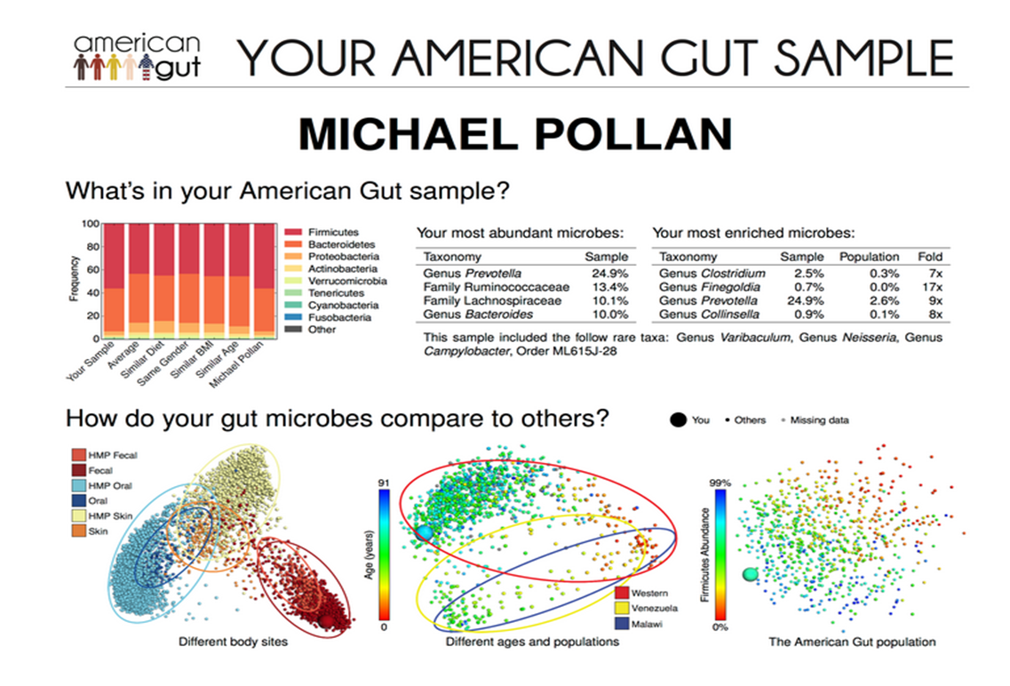 Gut Microbiote