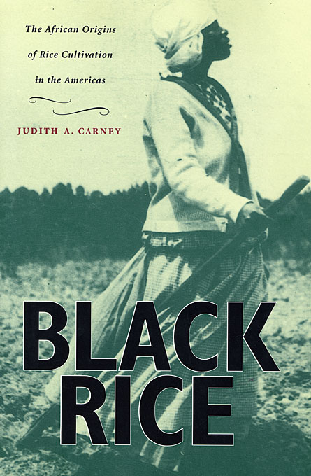 Black Rice : The African Origins of Rice Cultivation in the Americas ...